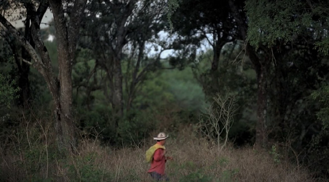 Una persona con sombrero y camisa roja camina entre la vegetación densa y árboles en un entorno natural.

Description generated by AI
